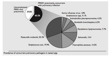 PRRS行業動態全解析 行情走勢、企業管理與行業趨勢