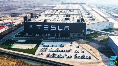 降低成本這招我會 豐田開發新車身技術，直指行業成本命門